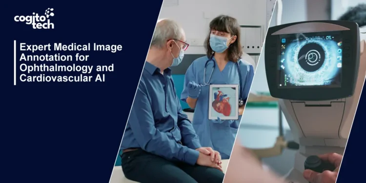 Medical Image Annotation for Ophthalmology & AI