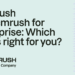 Which one is right for you?