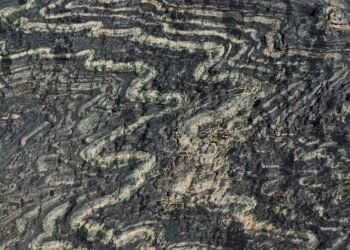 Google expands Frontier funding for carbon removal technology