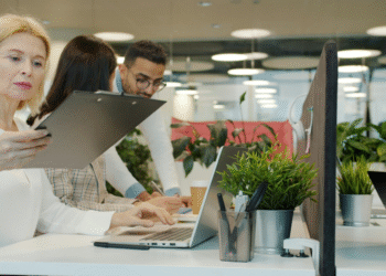 Best White Label AI Visibility Services for Agencies