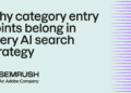 Why category entry points belong in every AI search strategy