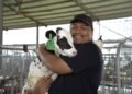Farm Fresh Surges Ahead with Bigger Dairy Herd