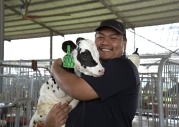 Farm Fresh Surges Ahead with Bigger Dairy Herd