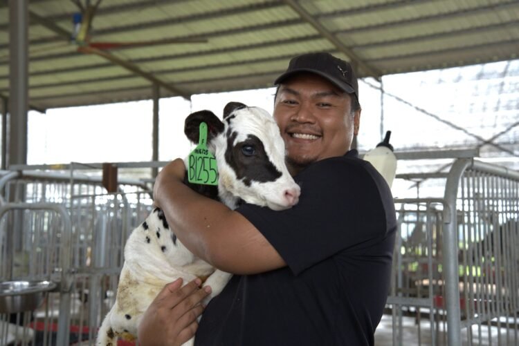 Farm Fresh Surges Ahead with Bigger Dairy Herd