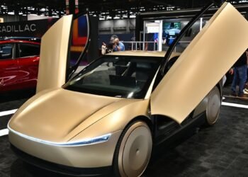 Tesla Says It’s Building a Wheelchair-Accessible Robotaxi