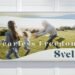 Truly Deeply’s brand work helps startup Svelte reset the continence category – Truly Deeply – Brand Strategy & Creative Agency Melbourne