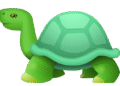 Binance Learn and Earn TURTLE Quiz Answers
