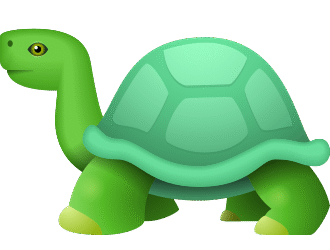 Binance Learn and Earn TURTLE Quiz Answers
