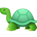 Binance Learn and Earn TURTLE Quiz Answers