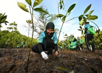 TNB Launches My Brighter Green Initiative 2026 In Langkawi, Strengthening Environmental Conservation & Community Well-Being