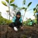 TNB Launches My Brighter Green Initiative 2026 In Langkawi, Strengthening Environmental Conservation & Community Well-Being