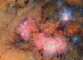 A 10-Year Sky Survey Begins Filming A ‘Cosmic Movie,’ Cyborg Cockroaches Go For A Dive And More Science Stories