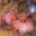 A 10-Year Sky Survey Begins Filming A ‘Cosmic Movie,’ Cyborg Cockroaches Go For A Dive And More Science Stories