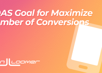 ROAS Goal for Maximize Number of Conversions