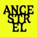 All Purpose ditches wine clichés in its lurid new identity for natural wine importer Ancestrel