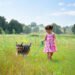 7 Must-Have Summer Items Every Dog Owner Needs