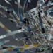 Enterprise AI's real risk isn't autonomous agents. It's the complexity between them.