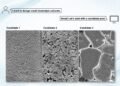 Solving the solvent problem | MIT News