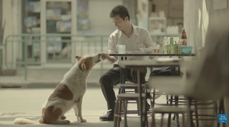 If a Commercial Ever Made You Cry, Thai Life Insurance Probably Did It