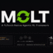 NVIDIA AI Releases Molt: A PyTorch-Native Agentic Reinforcement Learning Framework