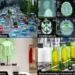 Data Annotation Outsourcing 2026: Vendors, GDPR/HIPAA