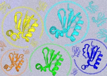 Looking beyond natural sequences | MIT News