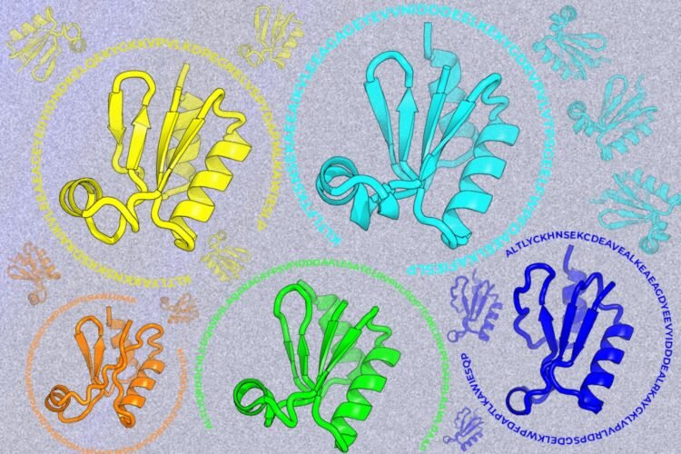 Looking beyond natural sequences | MIT News