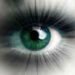 The AI visibility gap: Why great brands disappear from AI answers
