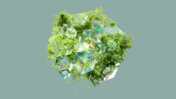 Meet the APAC innovators using AI to protect our planet
