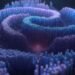 Google’s Atlas of the human genome could pave the way for new treatments