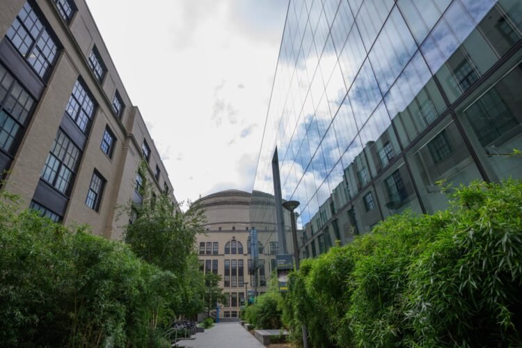 MIT Quantum Initiative launches postdoctoral fellowship program | MIT News